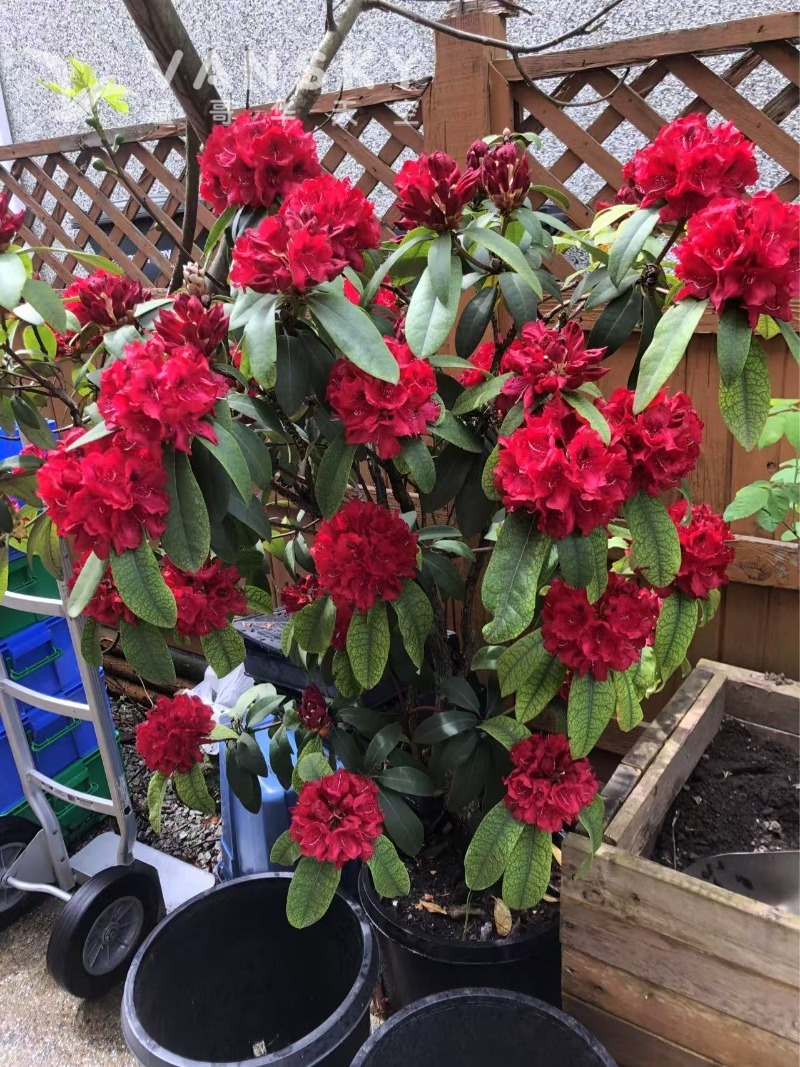 250619164715_Weixin Image_20250517135903.jpg